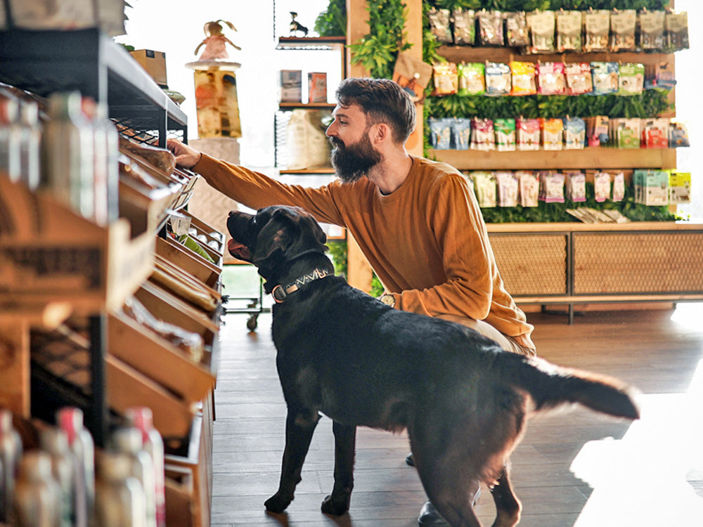 Dog-Friendly Shopping: A Guide to Stores That Welcome Your Furry Friends