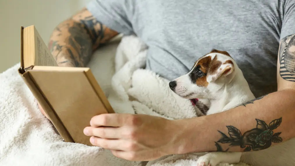 Books Featuring Dogs
