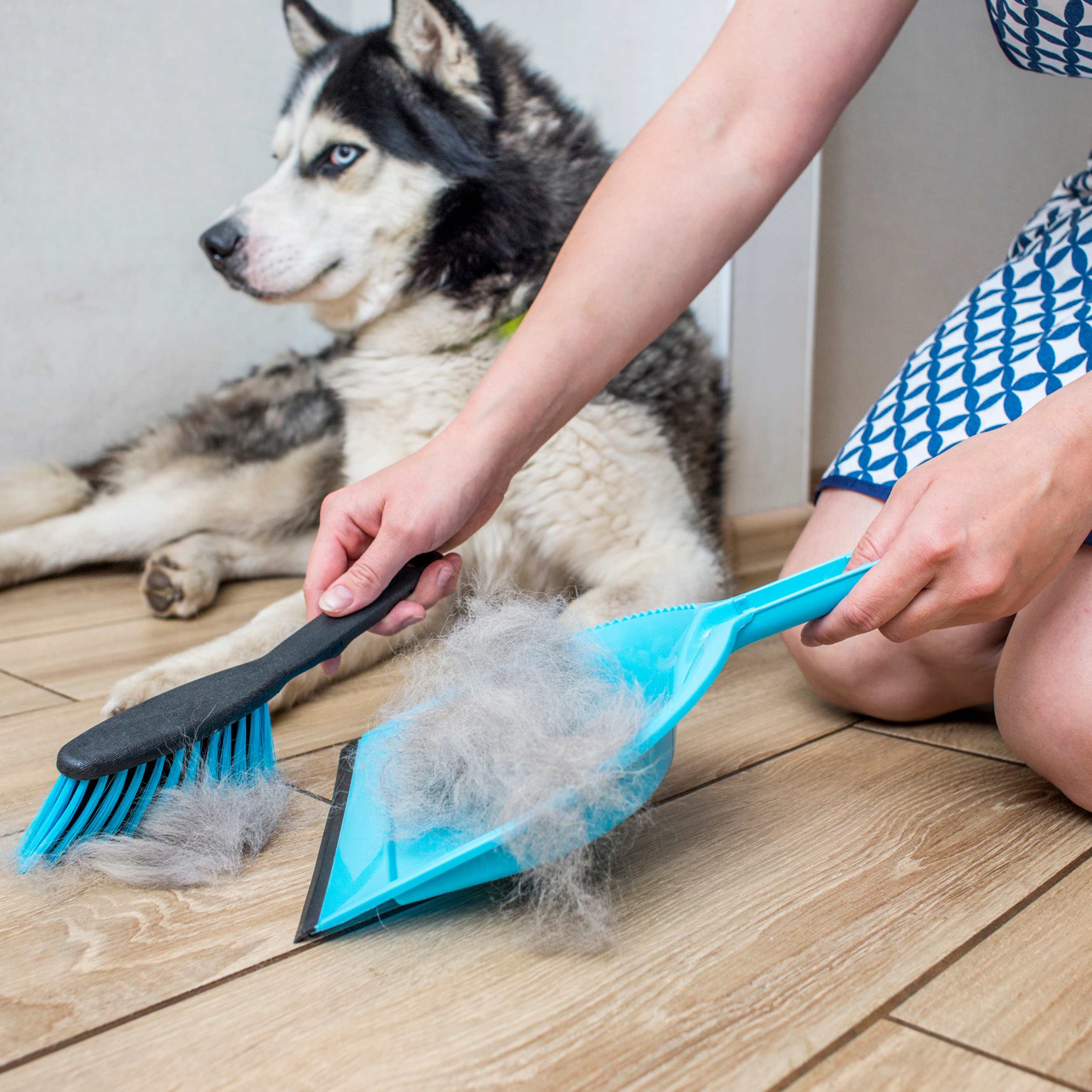 Hair-Free Pet Home