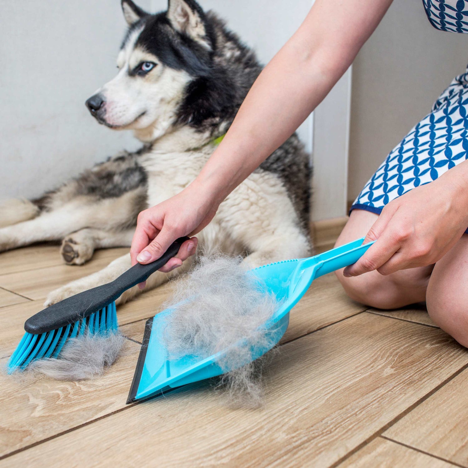 Hair-Free Pet Home