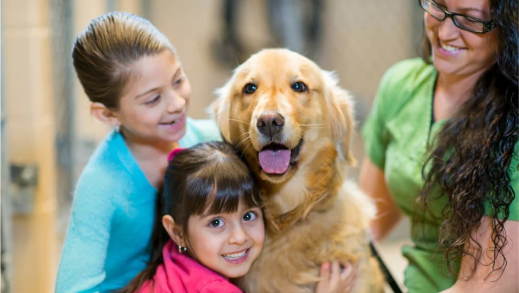 Questions to Ask When Adopting a Dog