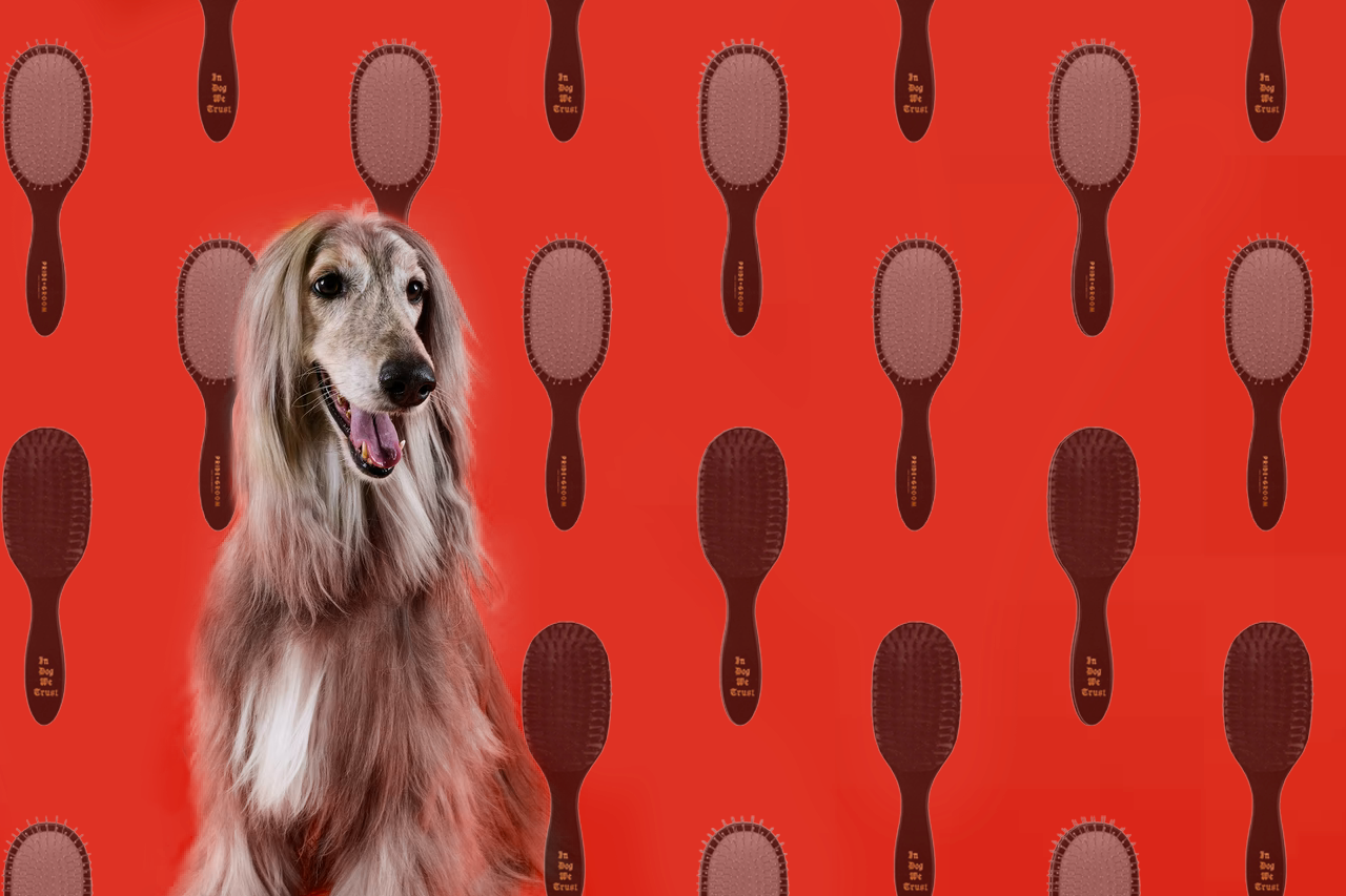 dog brushes guide, best dog brush