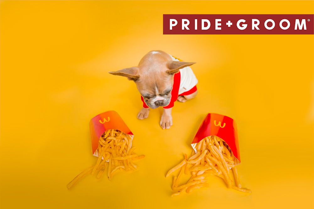 MOST POPULAR AND CUTEST FOOD NAMES OF DOGS