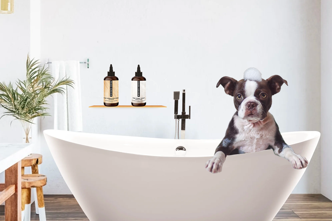 dog grooming at home, tips for grooming dog at home