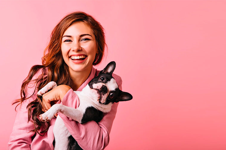 dog valentine's day treats, diy dog treats recipes