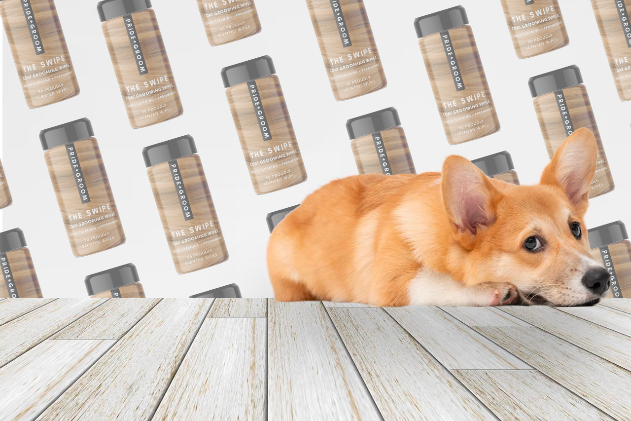 best dog wipes, pet wipes, cat wipes