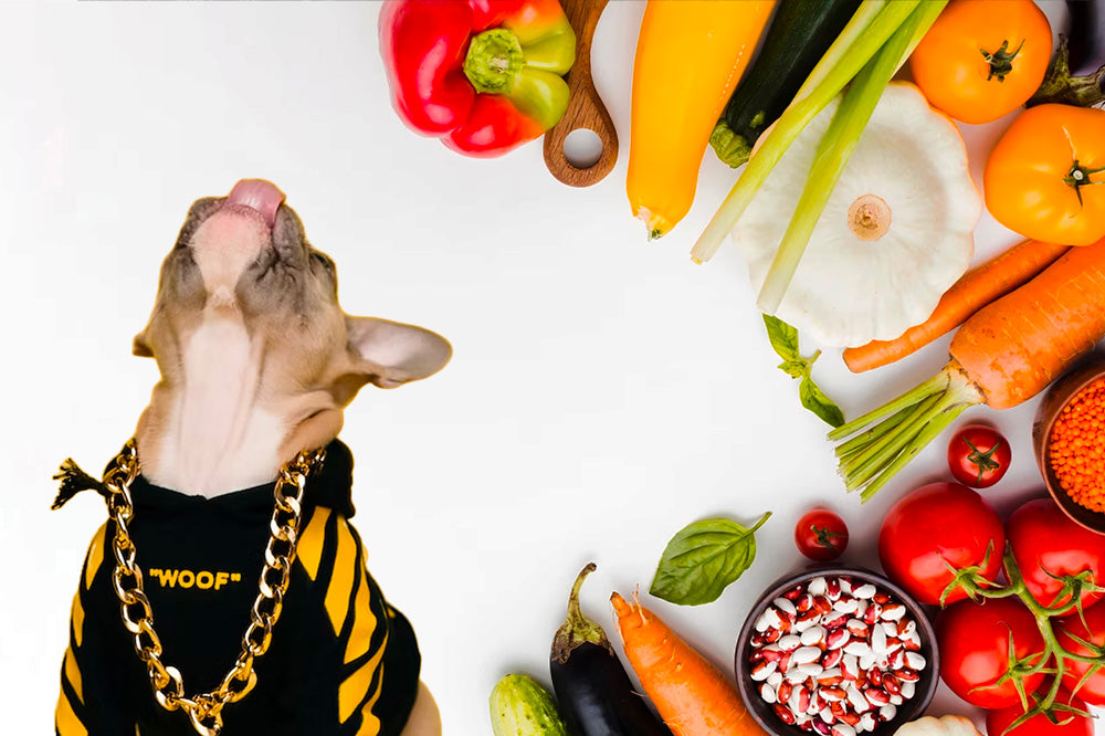 superfoods for dogs, best foods for dogs