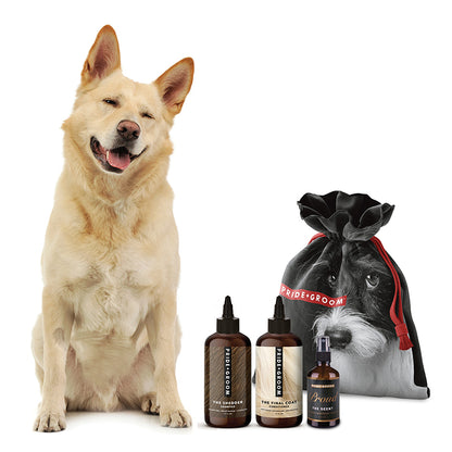 THE BIG DELUXE DOGGY BAG