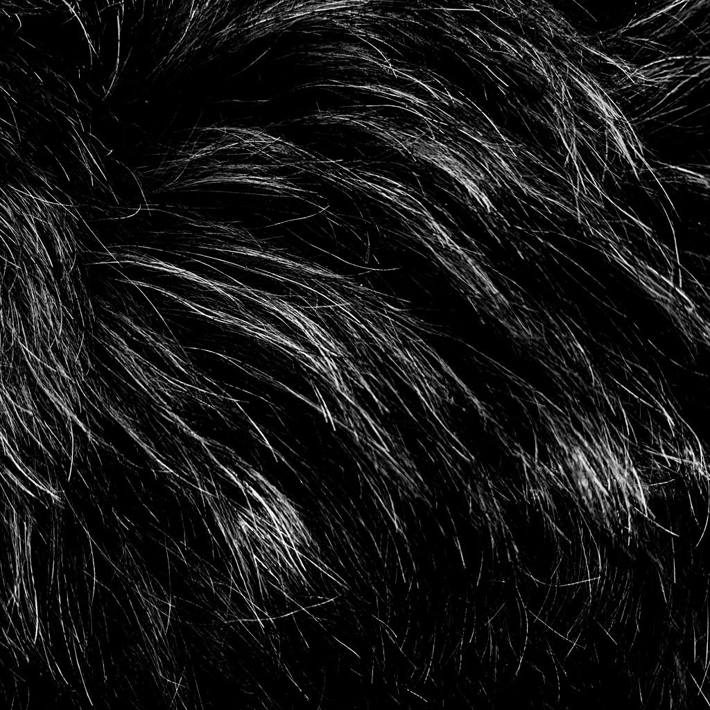 Fur