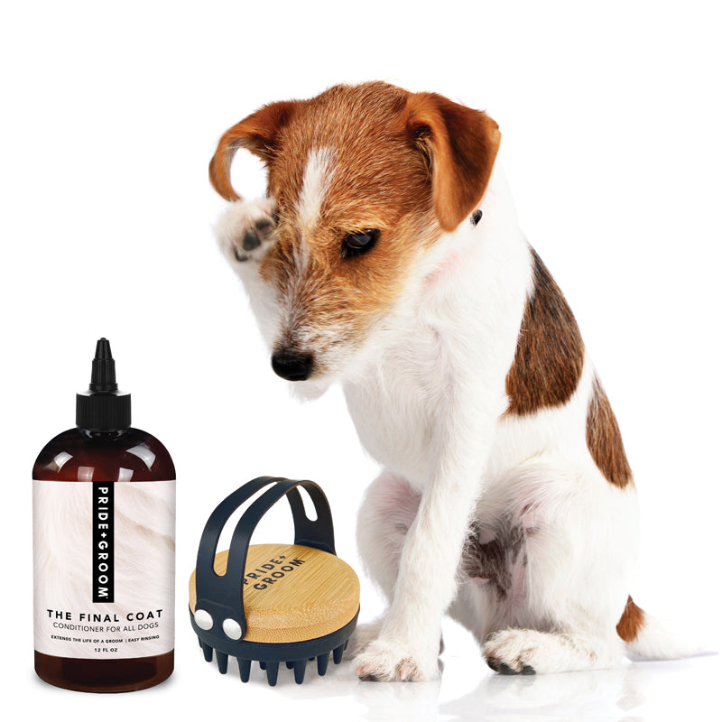 THE FINAL COAT + THE BATH BRUSH BUNDLE