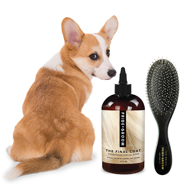 THE FINAL COAT + THE BRUSH BUNDLE