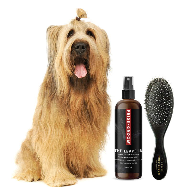 THE LEAVE IN + THE ONLY BRUSH