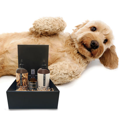 THE LUXE GIFT SET