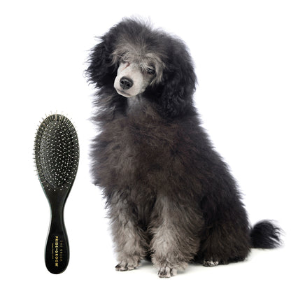 THE ONLY BRUSH