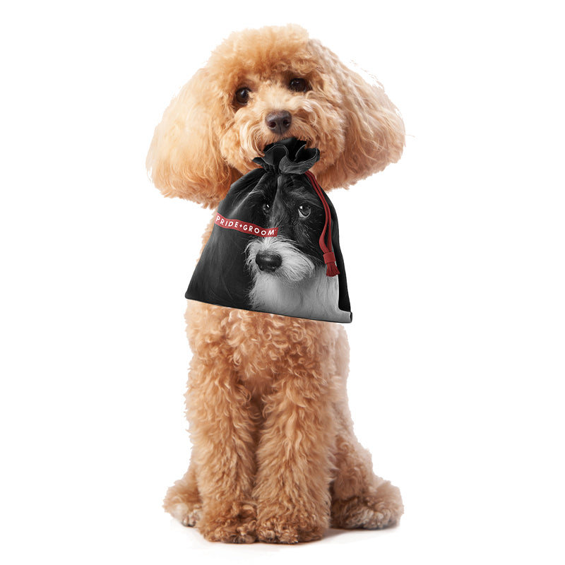 PRIDE+GROOM GIFT BAG