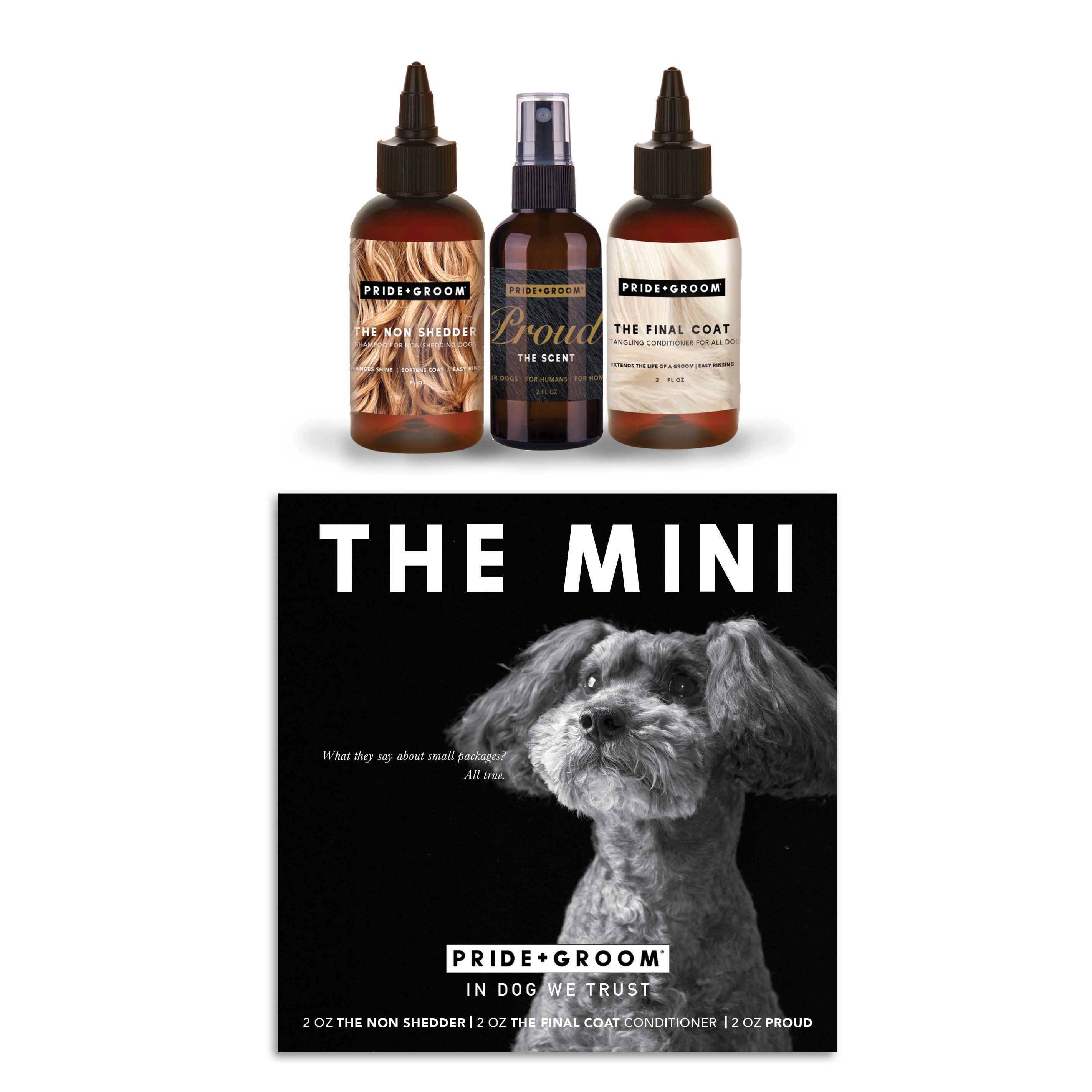 THE MINI GROOM KIT