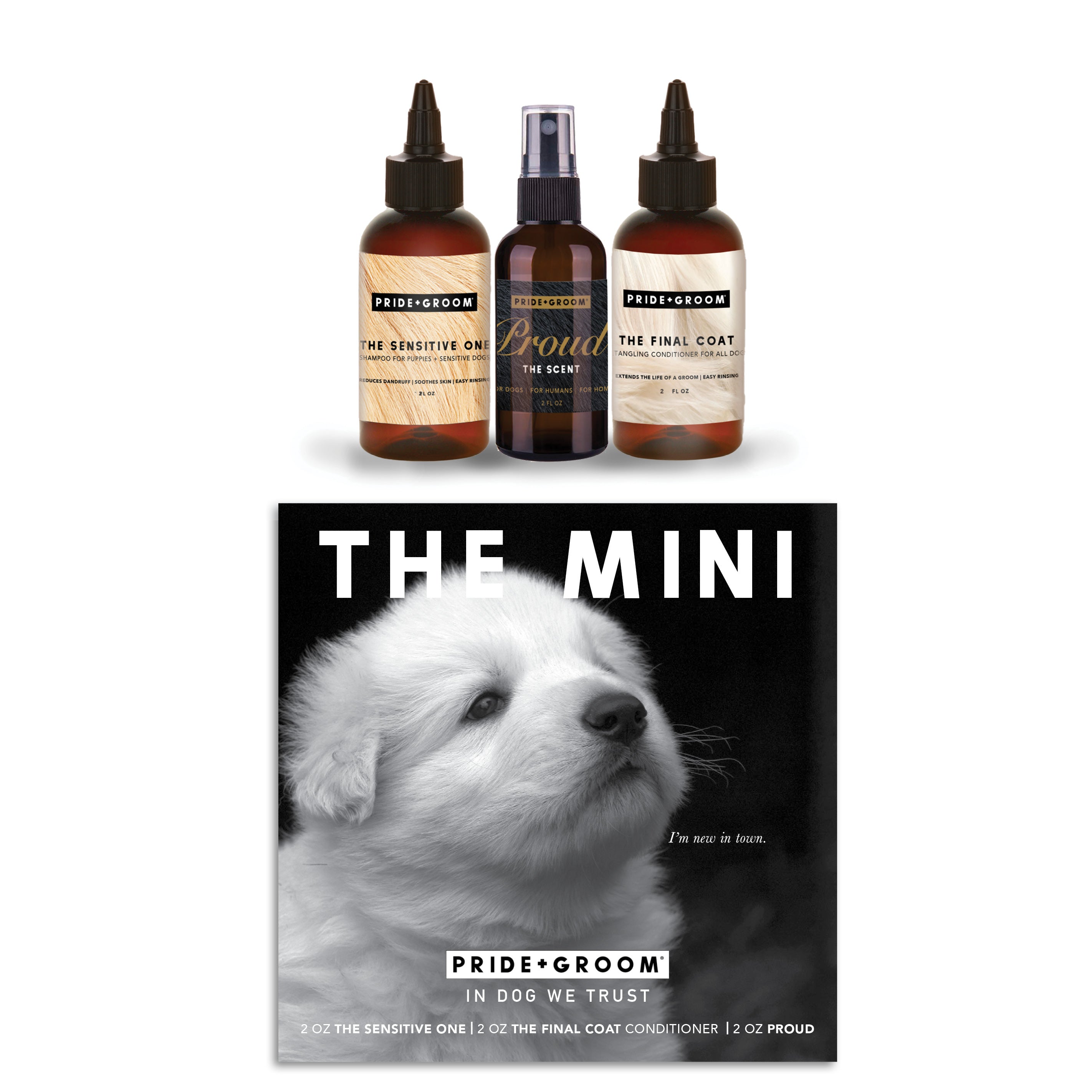 THE MINI GROOM KIT