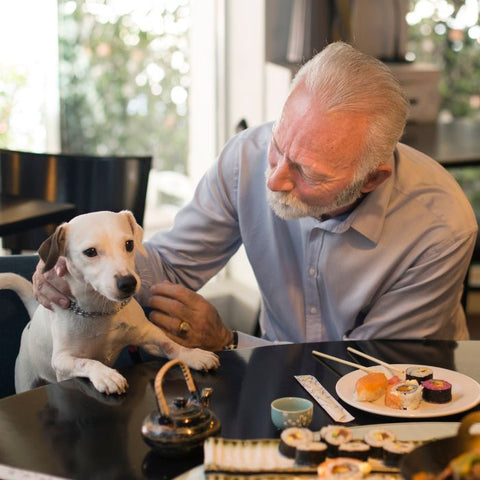 dog restaurant, pet restaurant