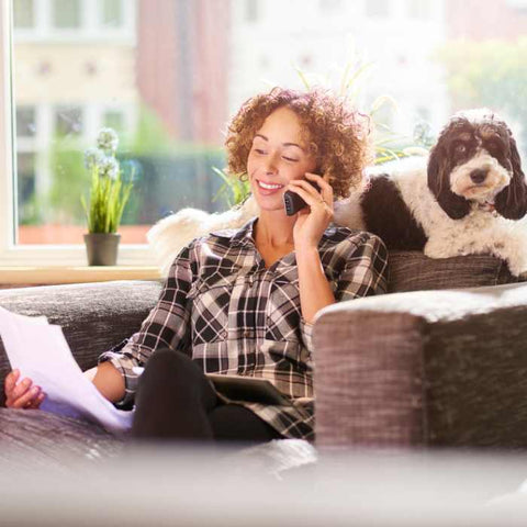 pet insurance