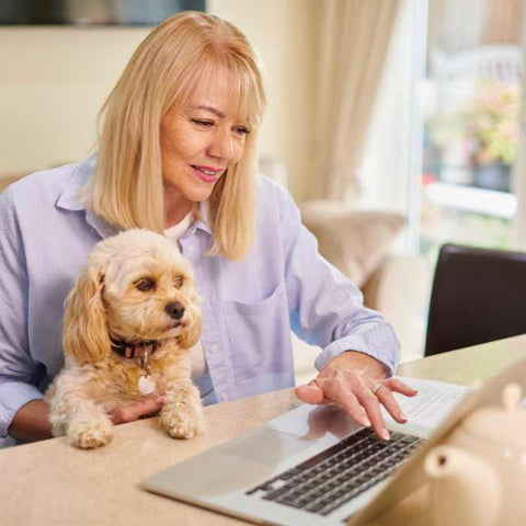 dog insurance