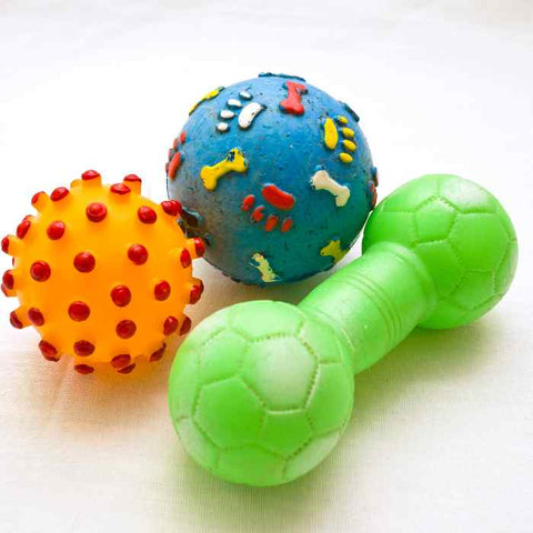 hard dog toys