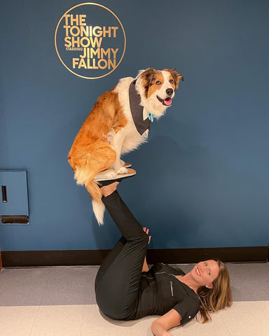 dog trainer