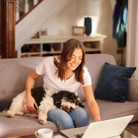 pet insurance