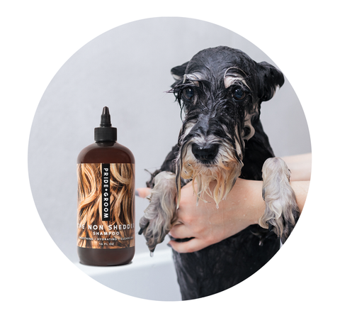 dog shampoo