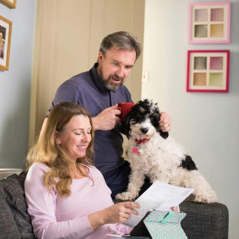 pet insurance