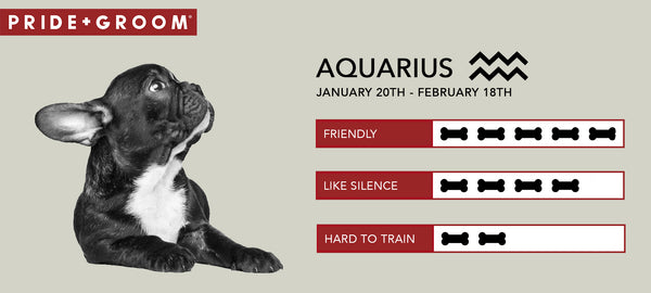 Aquarius dog Personality