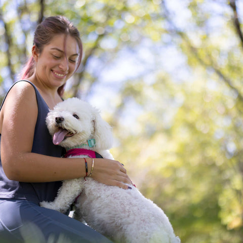 Backyard Safety Tips For Dogs, Backyard Safety Tips For Dogs & Dog Owners