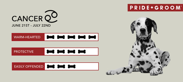 Cancer dog Personality