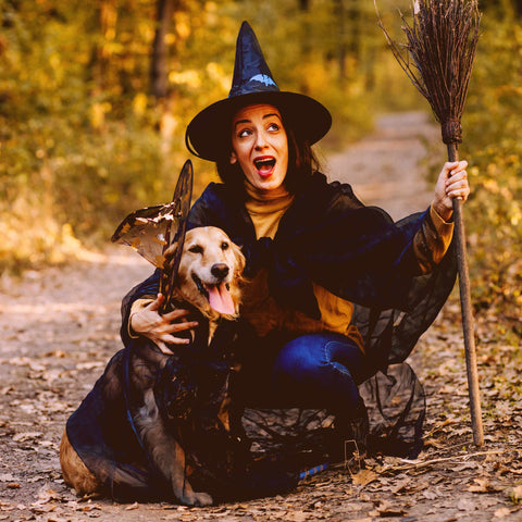 DIY halloween dog costumes