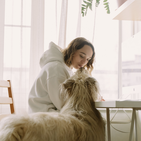 Dealing With Severe Separation Anxiety in Dogs