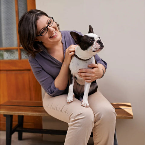 Do You Meet the Requirements to Adopt a Dog?