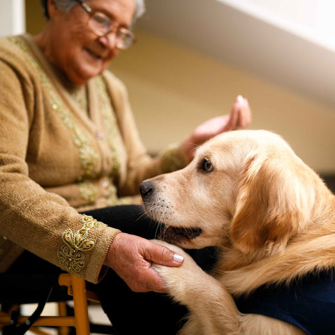 Emotional Support Dogs