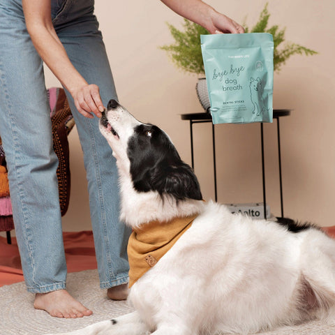 Faire Bye Bye Dog Breath Sticks