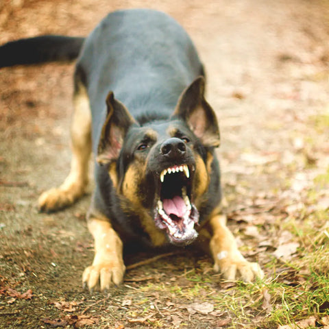 How to Recognize Reactivity?