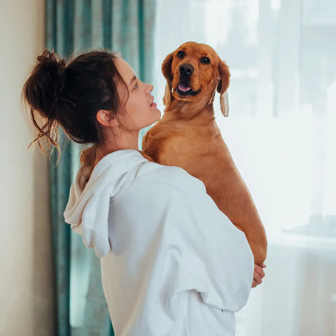 Living With and Managing A Reactive Dog