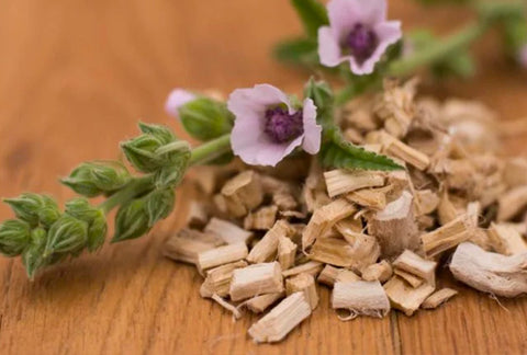 Marshmallow Oil for dogs