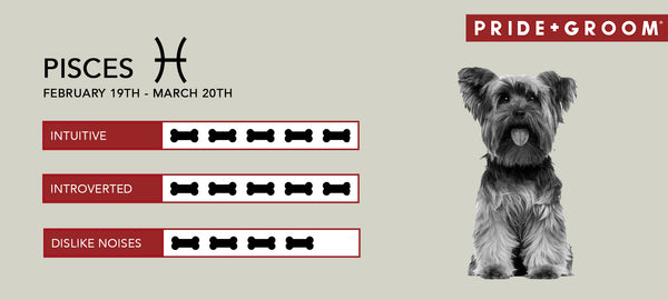 Pisces dog Personality