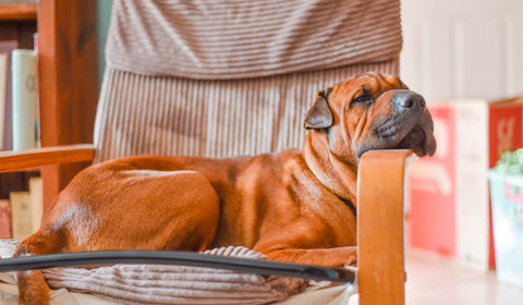 raised neck and head sleeping position