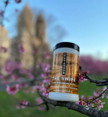 pet wipes, the swipe wipes