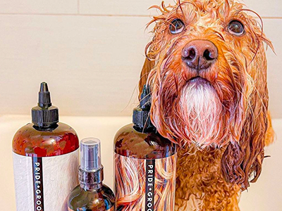 best natural dog shampoo, best organic dog shampoo