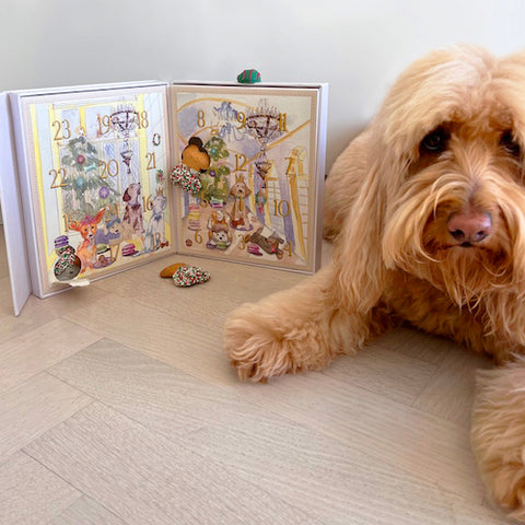 dog with advent calendar, bonne et filou