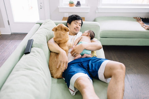 dog on the couch with human