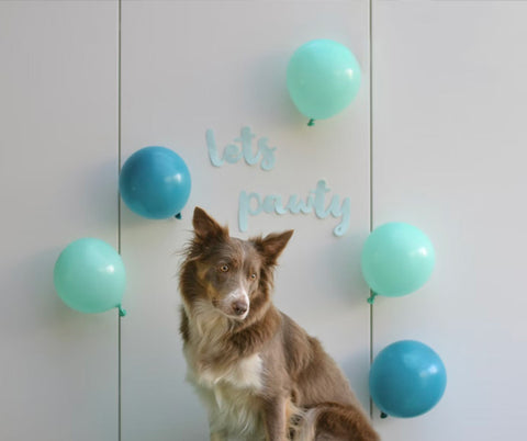 dog birthday party decor