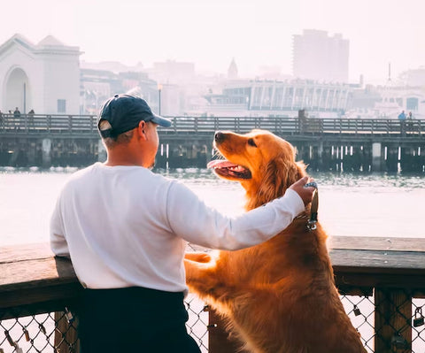 dog with man in park, near the water