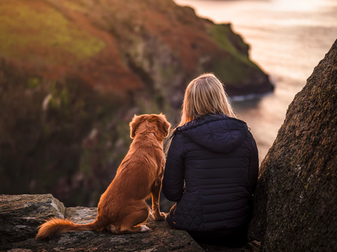 friendship between dog and human, dog and girl enjoy sunset, best friends, can i use human shampoo on dog, why human shampoo is dangerous for dog