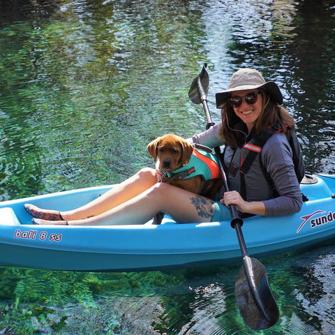 how dogs can help military veterans